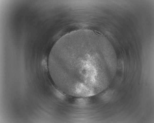 X0000073840238200608311943