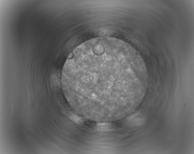 X0000073840240200608311943