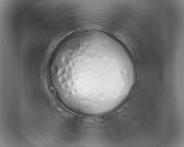 X0000073840241200608311942