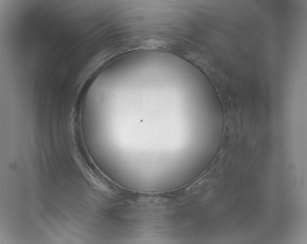 X0000073840242200608311942