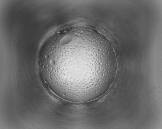 X0000073840245200608311942