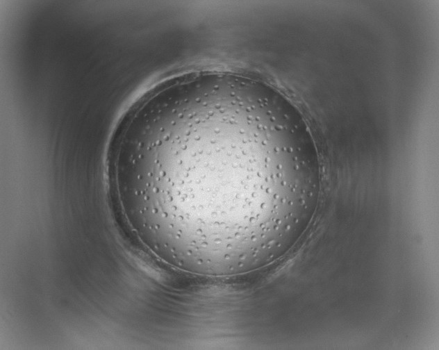 X0000073840246200608311942