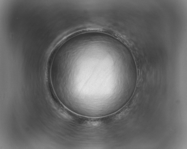 X0000073840247200608311942