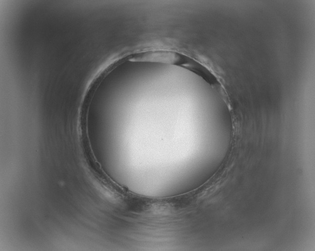 X0000073840248200608311942