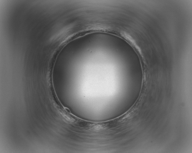 X0000073840249200608311942