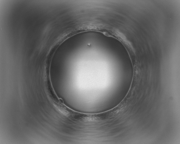 X0000073840250200608311942