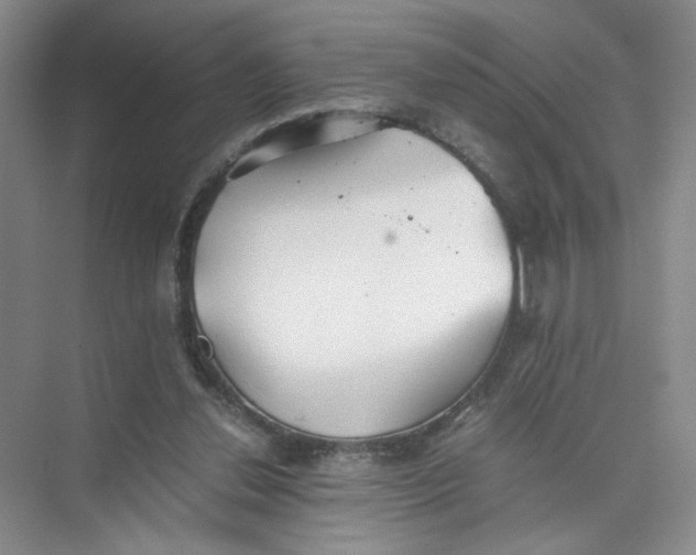 X0000073840252200608311942