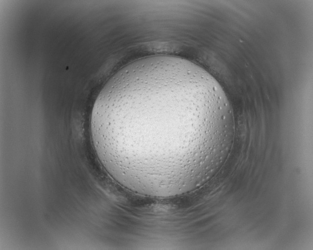 X0000073840255200608311942