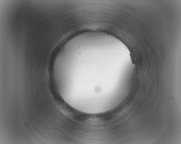 X0000073840256200608311942