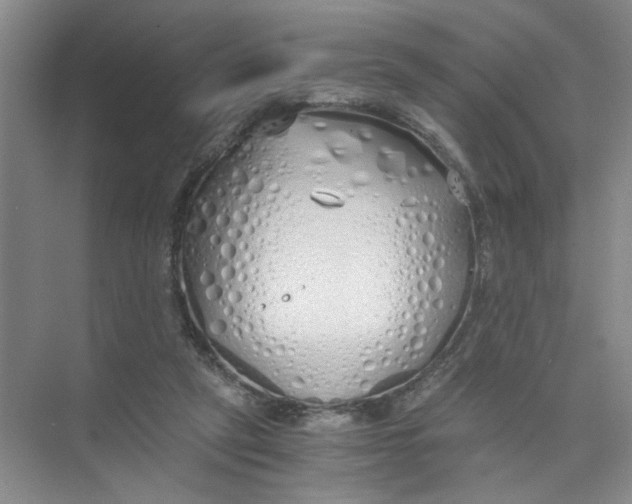 X0000073840257200608311942