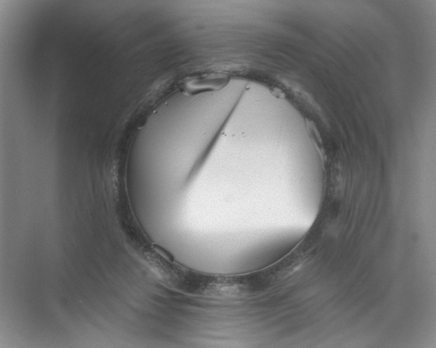 X0000073840260200608311942