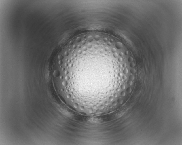 X0000073840261200608311942