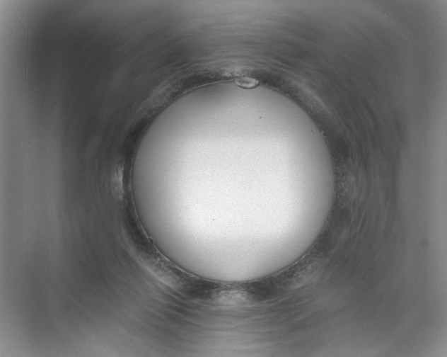 X0000073840262200608311942