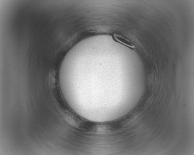 X0000073840264200608311942