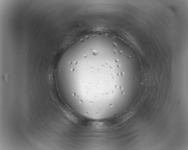 X0000073840265200608311942