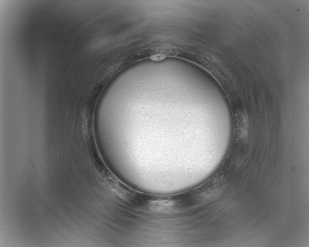 X0000073840266200608311942