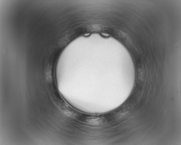 X0000073840267200608311942