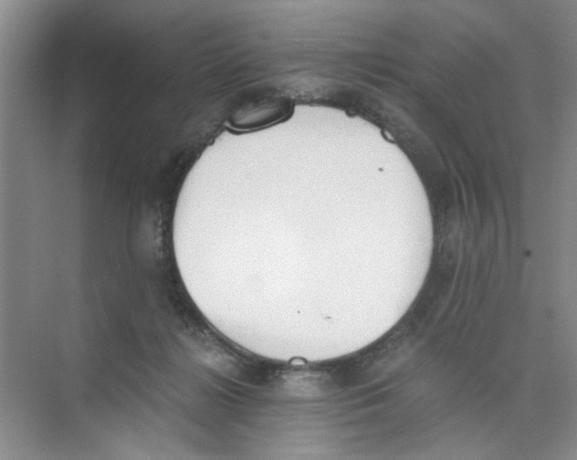 X0000073840268200608311942