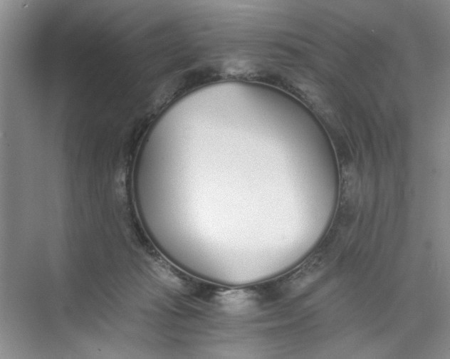 X0000073840269200608311942