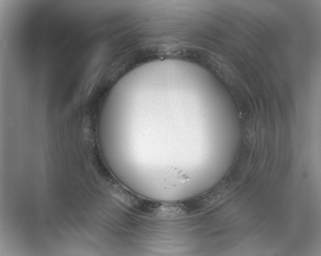 X0000073840270200608311942