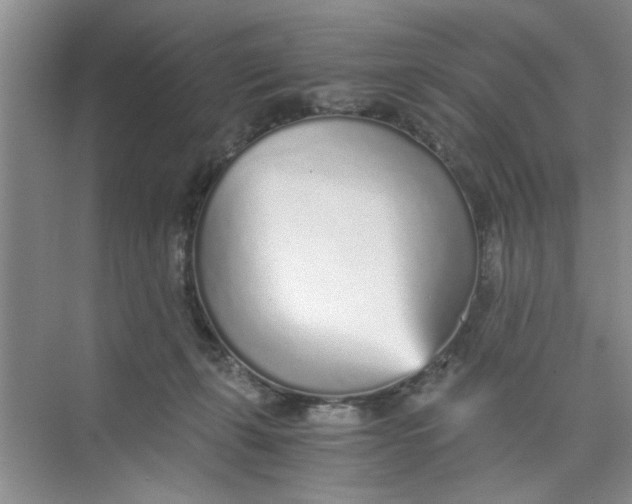 X0000073840271200608311942