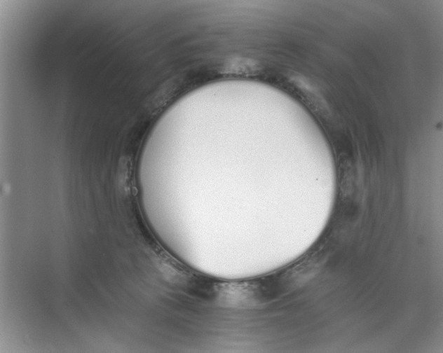 X0000073840273200608311942