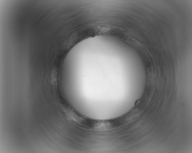 X0000073840274200608311942