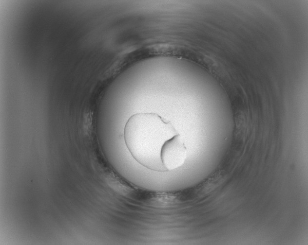 X0000073840278200608311942