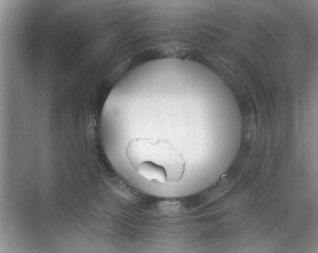 X0000073840279200608311942