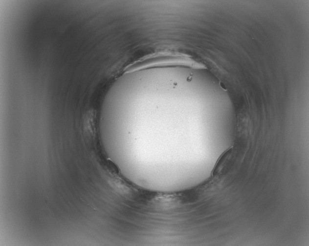 X0000073840280200608311942