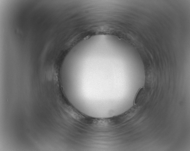 X0000073840282200608311942