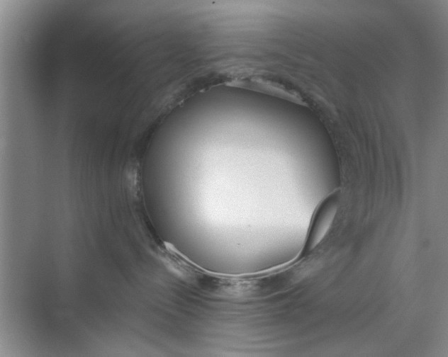 X0000073840288200608311943