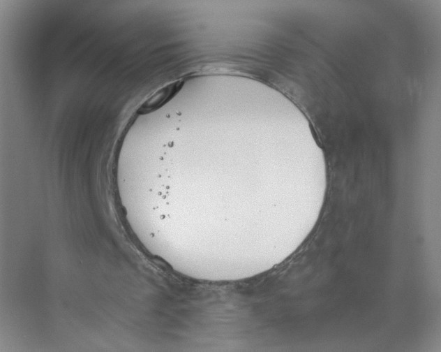 X0000073840289200608311942