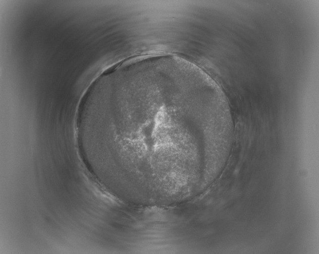 X0000073840290200608311942