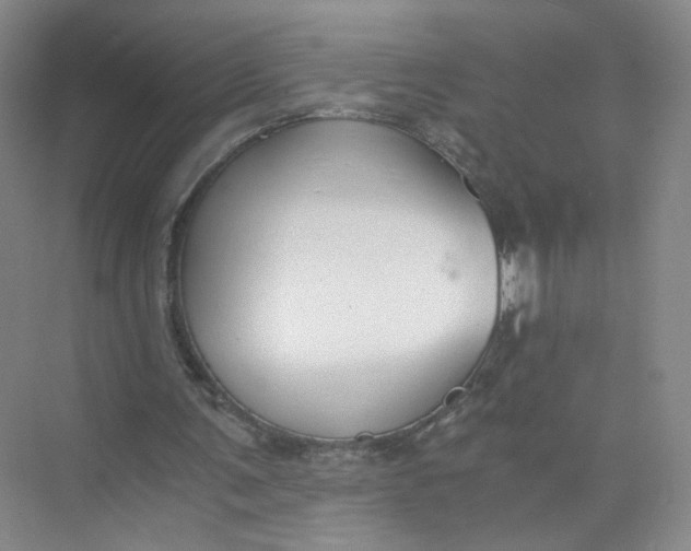 X0000073840291200608311942