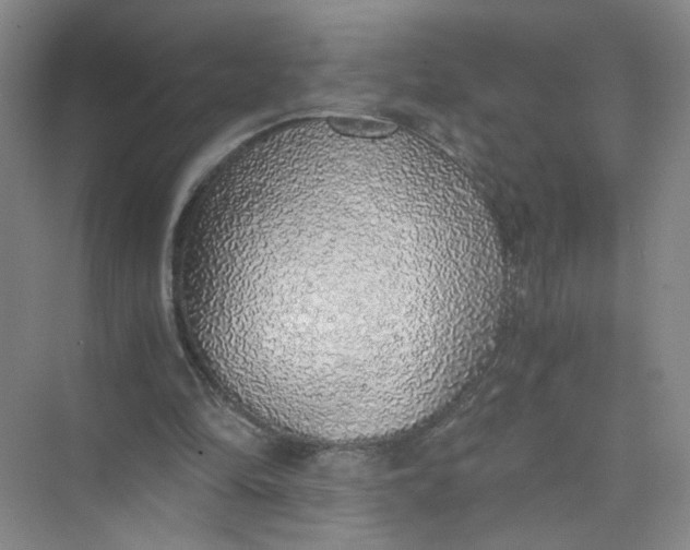 X0000073840294200608311942