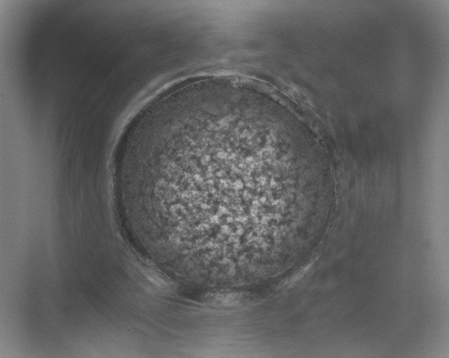 X0000073840295200608311942