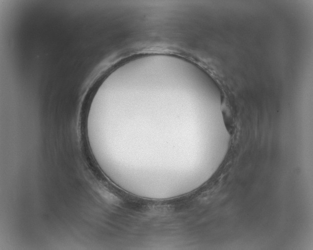 X0000073840296200608311942