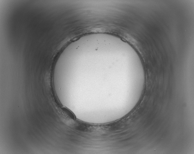 X0000073840297200608311942