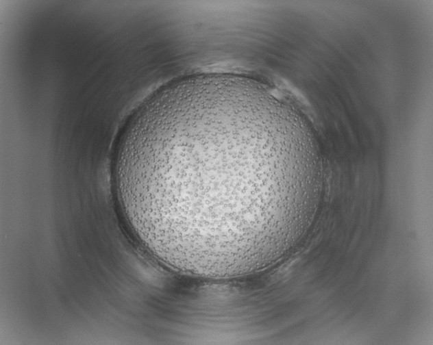 X0000073840298200608311942