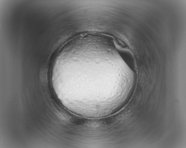 X0000073840299200608311942