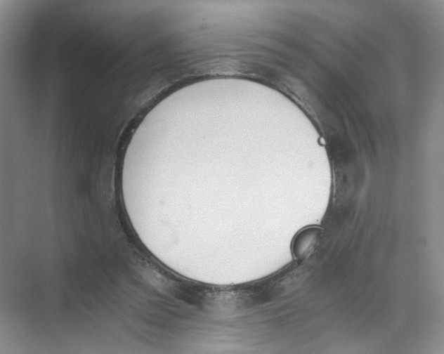 X0000073840301200608311942