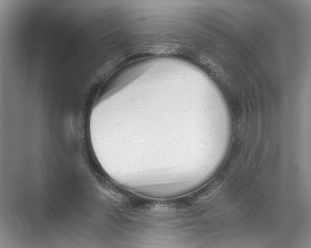 X0000073840303200608311942