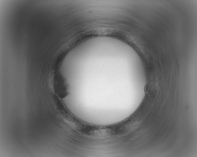 X0000073840307200608311941