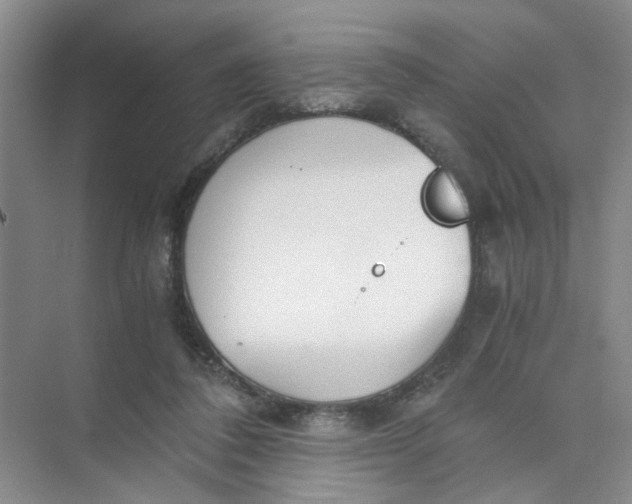 X0000073840308200608311941