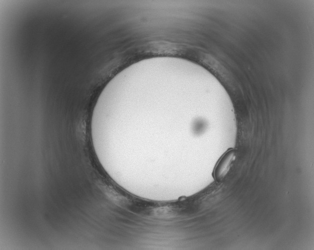 X0000073840309200608311941