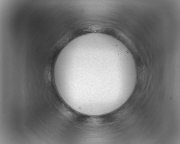 X0000073840313200608311941