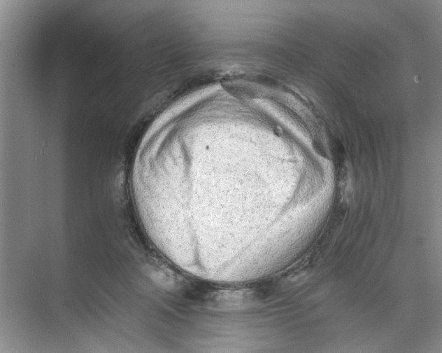 X0000073840314200608311941