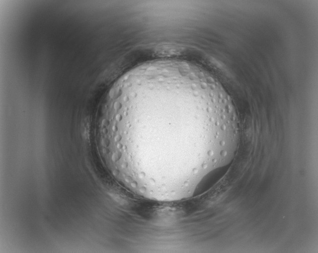 X0000073840315200608311941