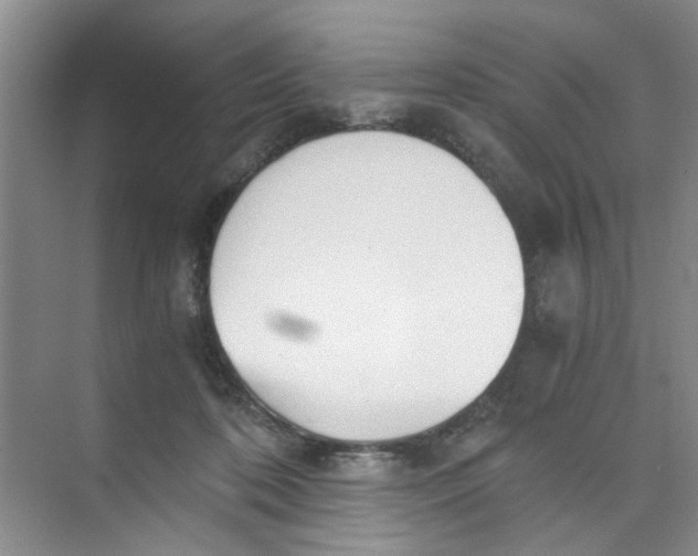 X0000073840316200608311941